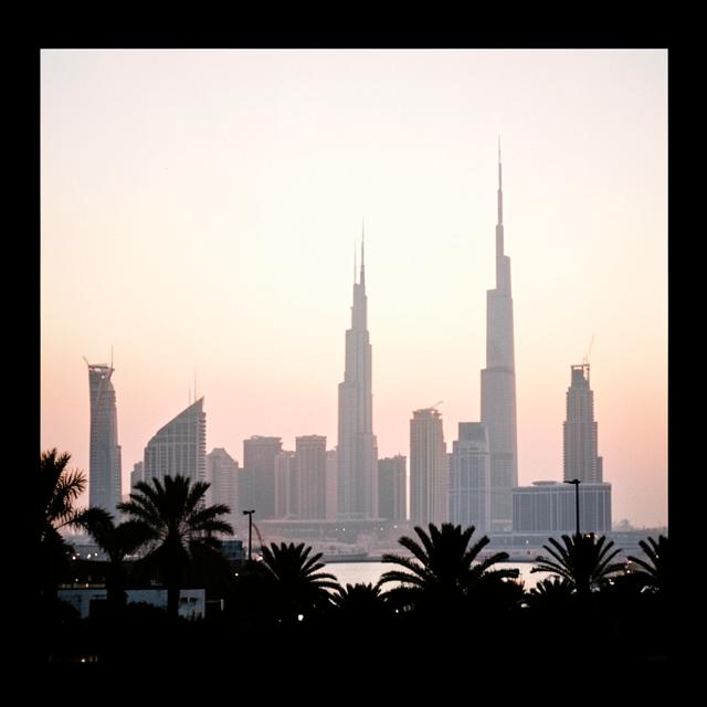 Dubai skyline at dusk with palm trees in silhouette